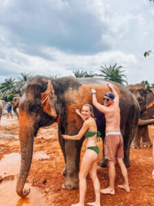 Elephant sanctuary - mistakes to avoid