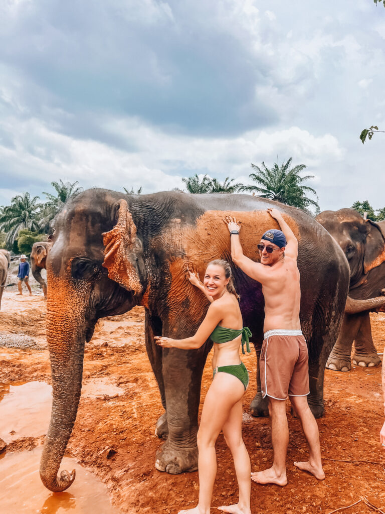 Elephant sanctuary - mistakes to avoid