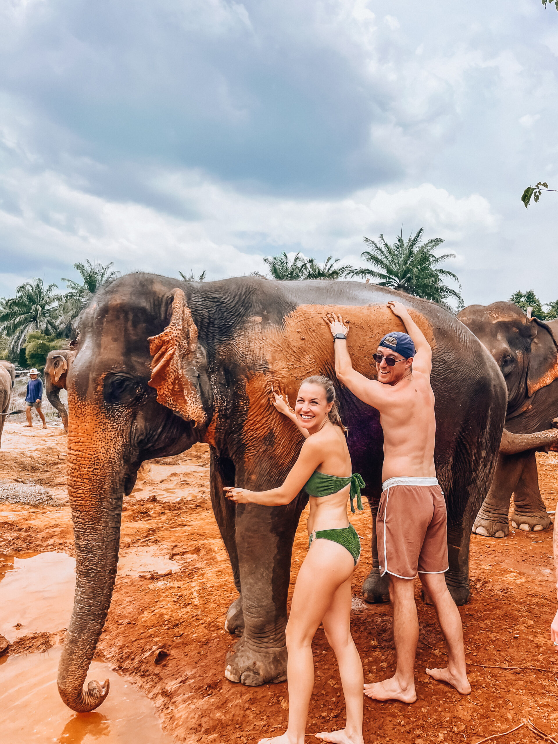 Elephant sanctuary - mistakes to avoid